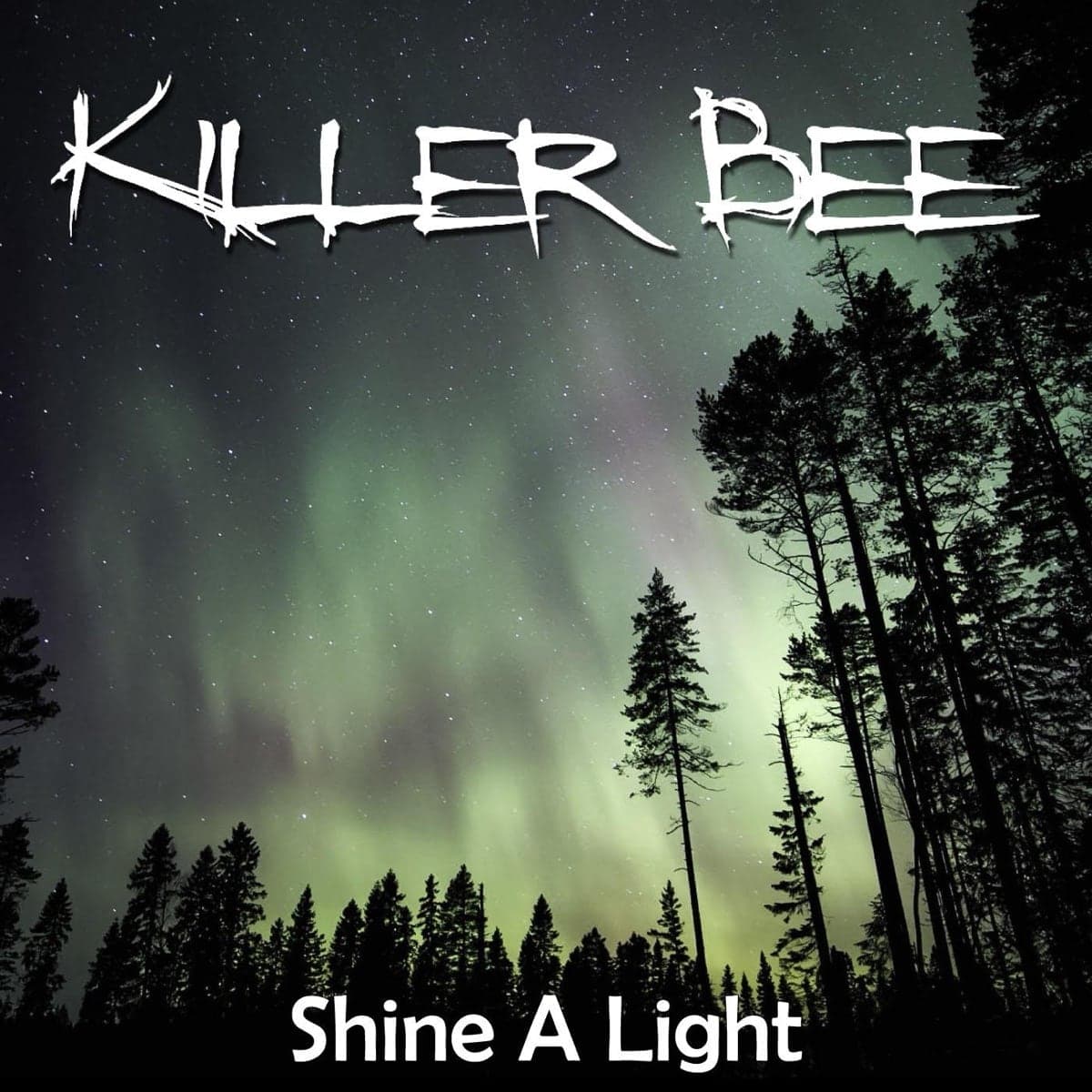 Shine a Light cover art